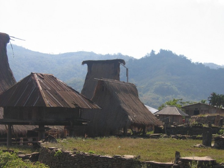 Traditional houses in Moni